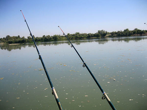 Однозначно, на рыбалке